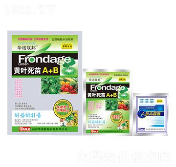 �S�~����A+B-�A�Z(li��n)��