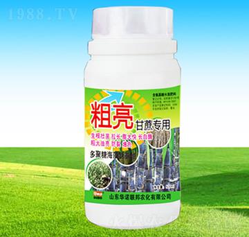 �������ጣ��-�A�Z(li��n)��