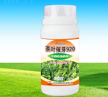 ���~��ѿ920-�A�Z(li��n)��