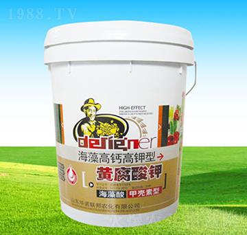 ������}������S�����-�A�Z(li��n)��