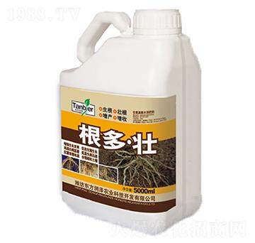 ������-�|������