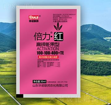 �������t���������ͣ�-�A�Z(li��n)��