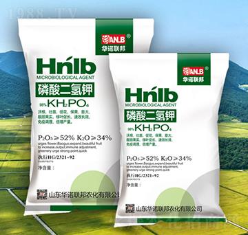 ���������~���-�A�Z(li��n)��