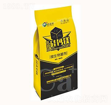 ΢�������-��ϲ��(l��)���}�V-ɳ¡�_(d��)