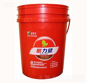 ��(f��)��΢�������-������-ɳ¡�_(d��)