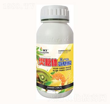 �(l��i)���w������-���λ���