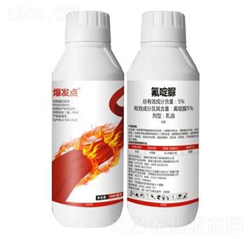 5%�����-���l(f��)�c������棩-��֮��