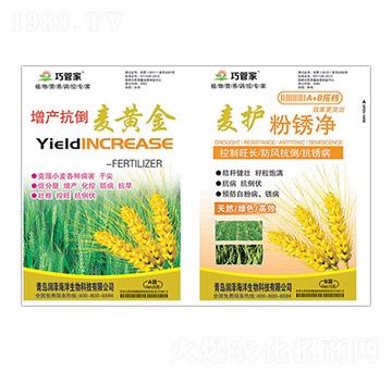 ���a�������S��+���o���P��-�ɹܼ�-����