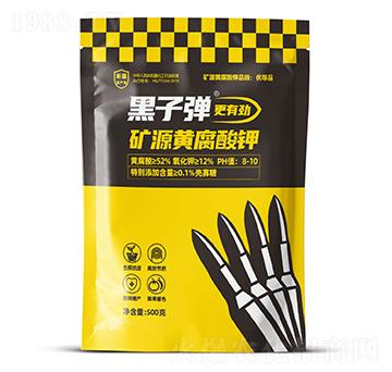 �VԴ�S�����-���ӏ�-������