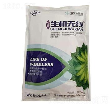 1000g΢�������-���C(j��)�o(w��)��-���