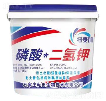 ��������-�~����-��������