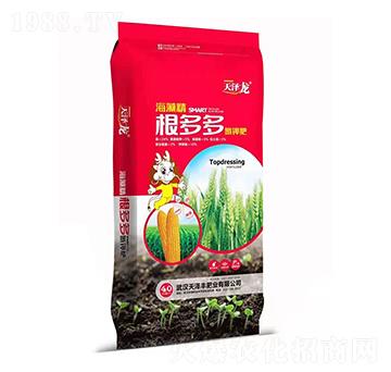 ���徫�������⛷� �����