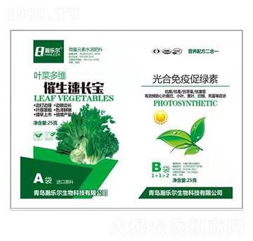 �~�˶�S�������L(zh��ng)��+������ߴپG�� 嫘�(l��)��