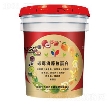 ̼ù�����~(y��)���� ���r(n��ng)ʩ���S