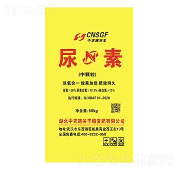 46.3%���أ����w���� ���rʩ���S