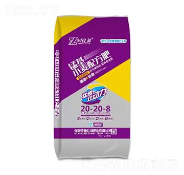 С���䷽��20-20-8 �i�� �Ј�R��