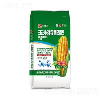 ���������28-6-6 �Ј�R��