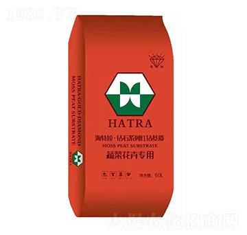 �߲˻��܌�(zhu��n)�� �@ʯϵ�мt�@���|(zh��) ������