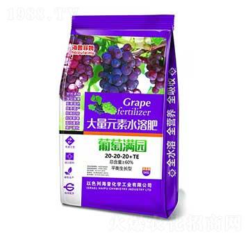 ƽ�����L�ʹ���Ԫ��ˮ�ܷ�20-20-20+TE ���ѝM�@ ���ջ��W(xu��)