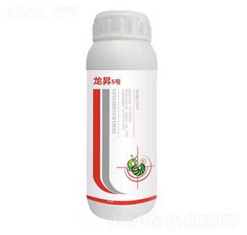 20%���x�� ����5̖(h��o) ��������