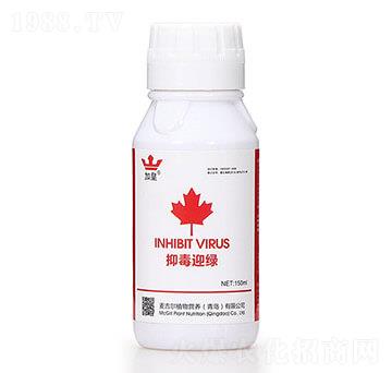 �ֶ�ӭ�G�����β������� �G�ʼt��