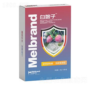 �׷۲����P����Ч ������ ������