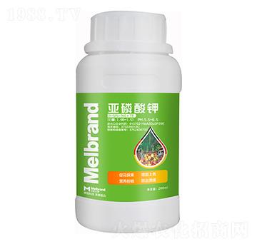 200mlֲ�����߄� ������� ����(l��)��