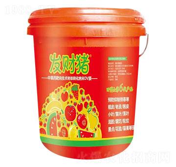 �в�ˎ�����g(sh��)���w�D(zhu��n)��DVĤ �l(f��)ؔ(c��i)�i �ﲩʿ