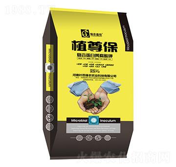 ��(f��)�ϵ����S�����-ֲ����-���r(n��ng)ʢ��