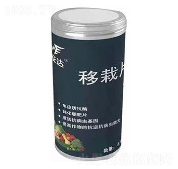 ����Ƭ �~���_(d��)