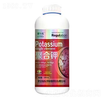 �ۺ�� ������