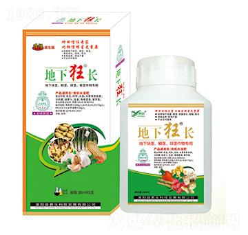 ���K�o���[�o�����o����� ���¿��L ����