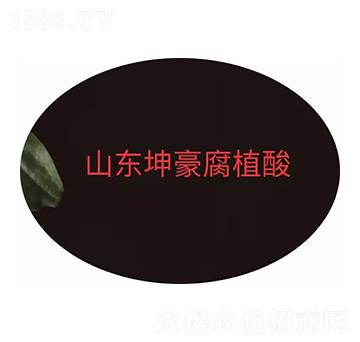 �۠ֲ��� ����