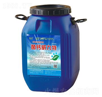 ���}������-�n��-��ɭ�r(n��ng)�I(y��)