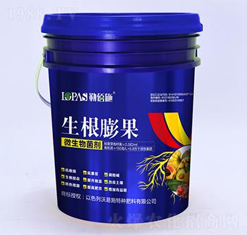 �������΢�������-�հ�ʩ-����ʩ