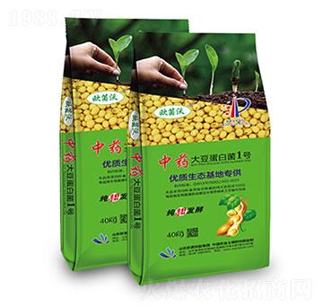 ��ˎ���󶹵��׾�1̖-�W�����F