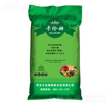 �����طN��-����ķ