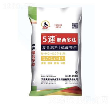 ������͏ͺϷ���17-17-17-5�پۺ϶���-����