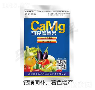 �R���wʩ��-�R�˰��