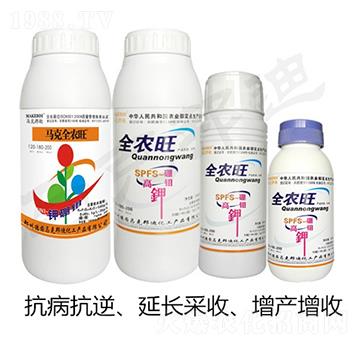 �R��ȫ�r(n��ng)��-�R�˰��