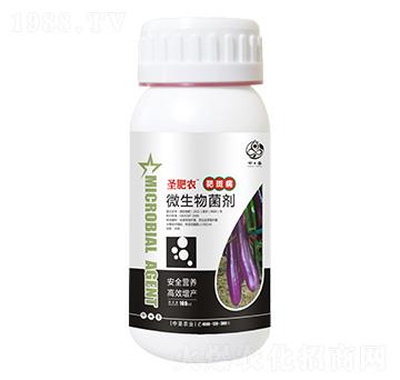 ƿ�b�а߲�����΢�������-ʥ���r(n��ng)-��ʥ�r(n��ng)�I(y��)