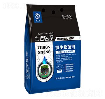 �ݲݡ�����ľù��-�����t(y��)ʥ-��ʥ�r�I(y��)