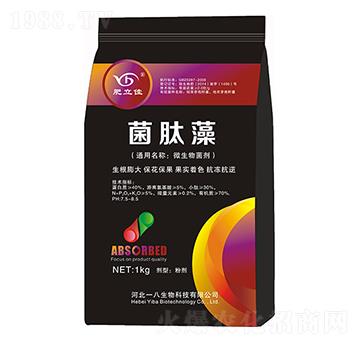 ΢������� ������ һ������