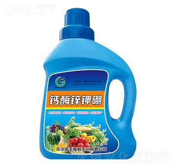 �}�V�\���-��(gu��)�S�߿�