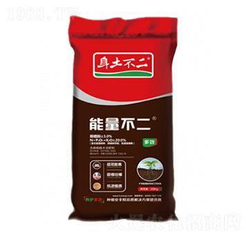 �������� �������� ��