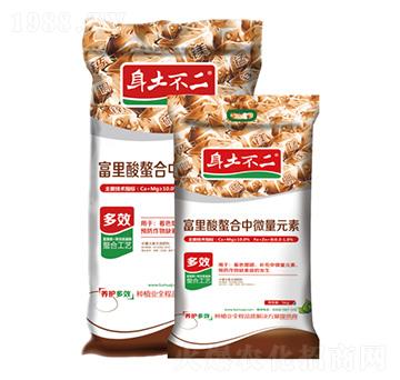 ������������΢��Ԫ�� 