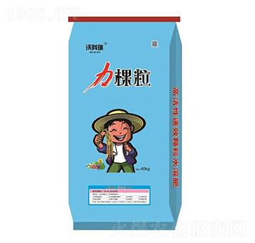 ���w�� �u�_�ʘI(y��)