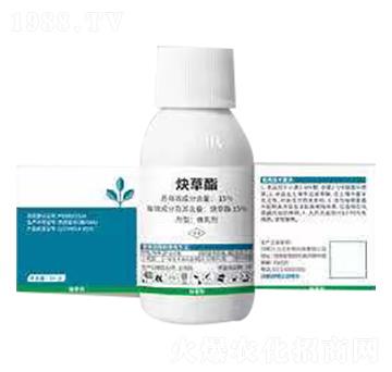 15%Ȳ����-ؐ����