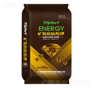 ��ֳ���-�A���r�I(y��)