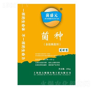 ����ø����-��ʢԪ���N-�s����